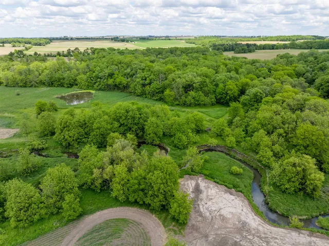 a view of a garden with an outdoor space