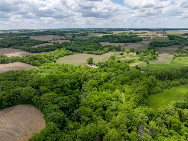 a view of a garden with plants