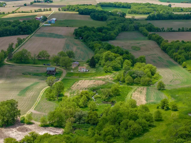 a view of a green yard with large trees