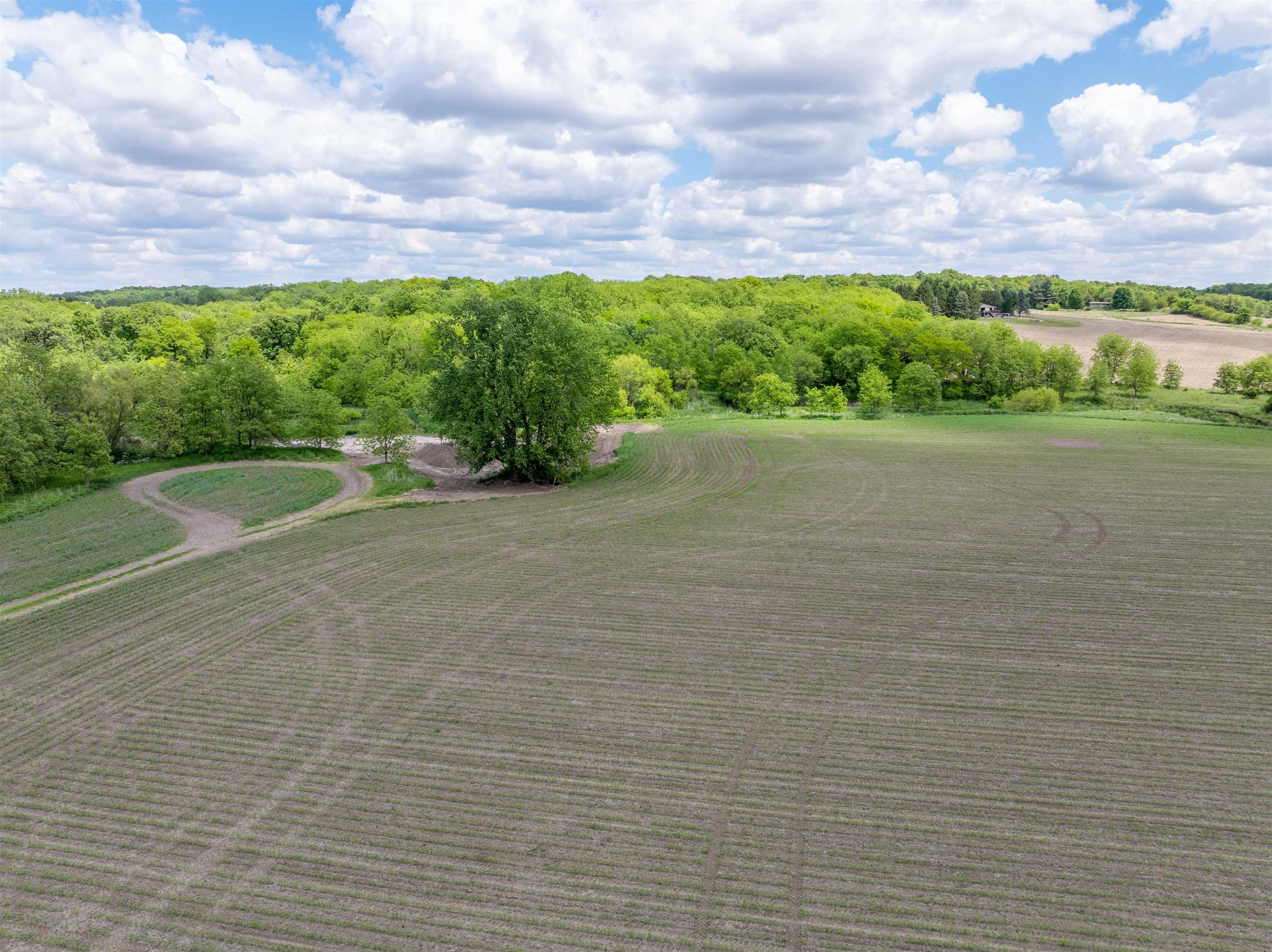 10385 North Rock City Road Leaf River, IL 61047 - Photo 25 of 99