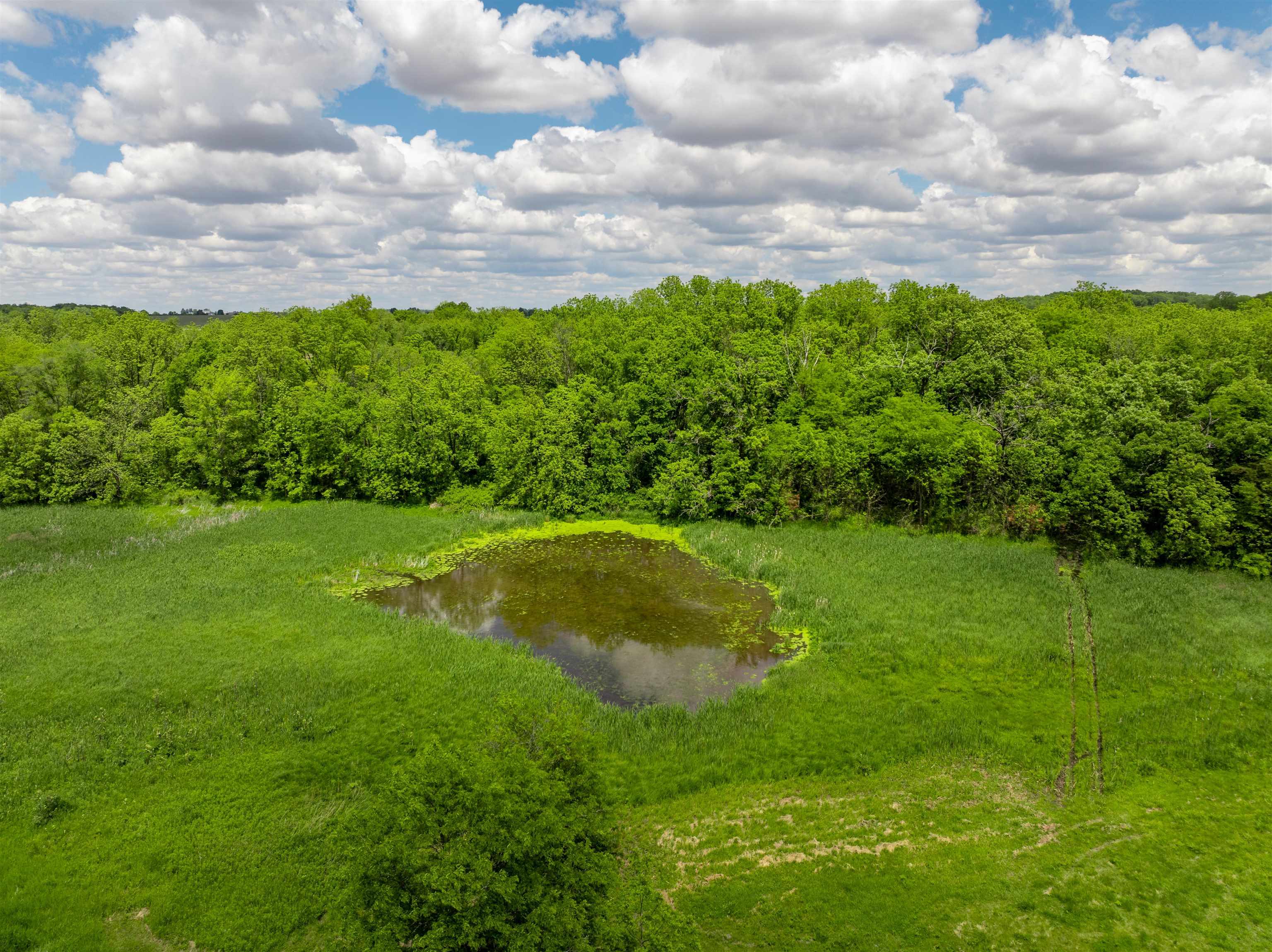 10385 North Rock City Road Leaf River, IL 61047 - Photo 26 of 99