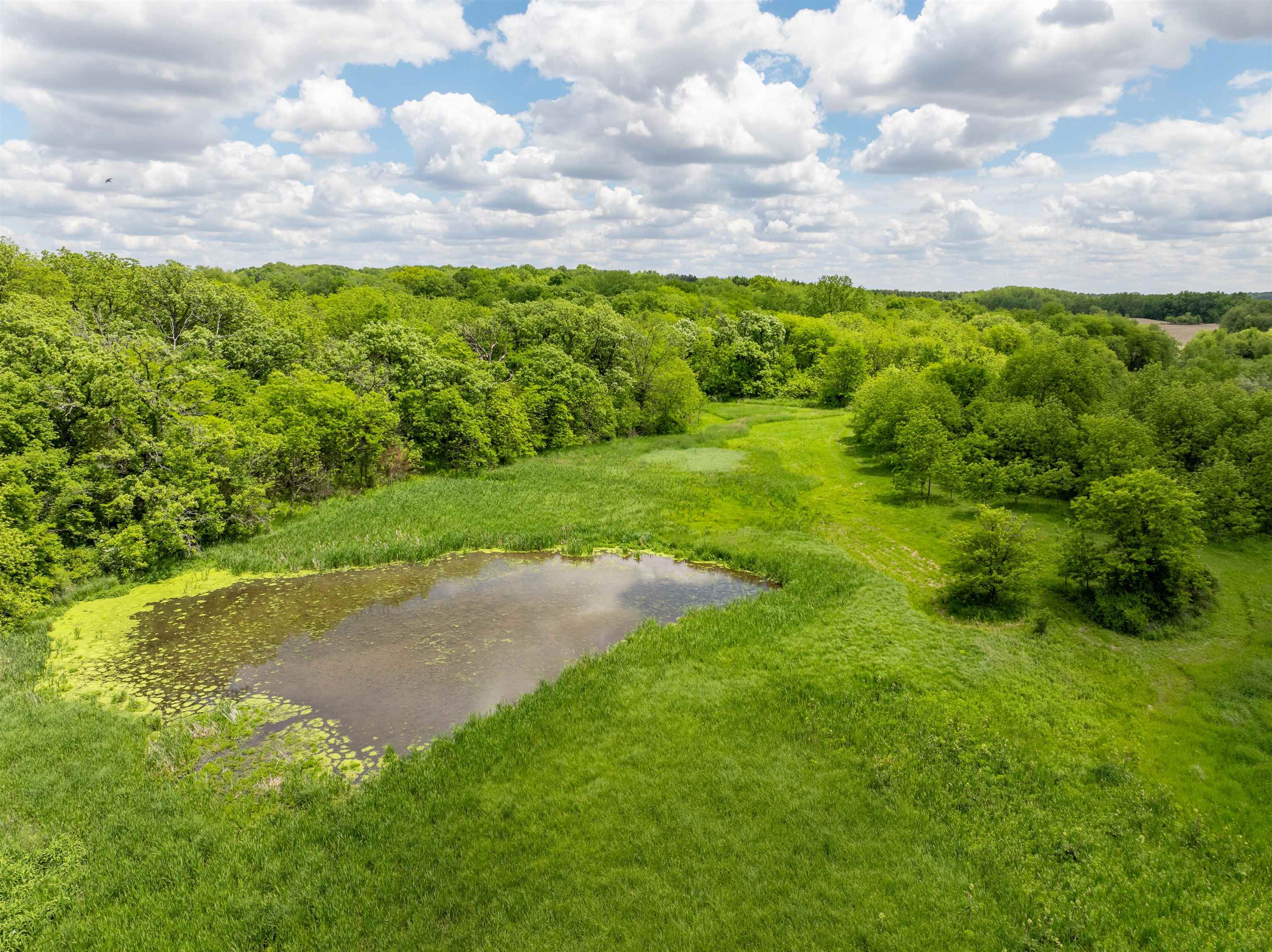 10385 North Rock City Road Leaf River, IL 61047 - Photo 27 of 99