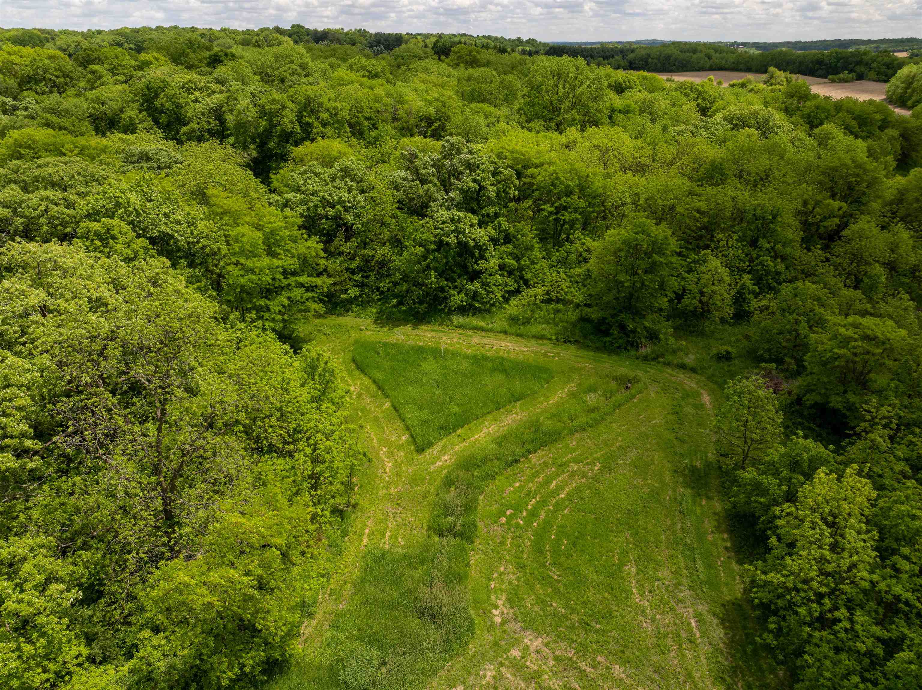 10385 North Rock City Road Leaf River, IL 61047 - Photo 28 of 99