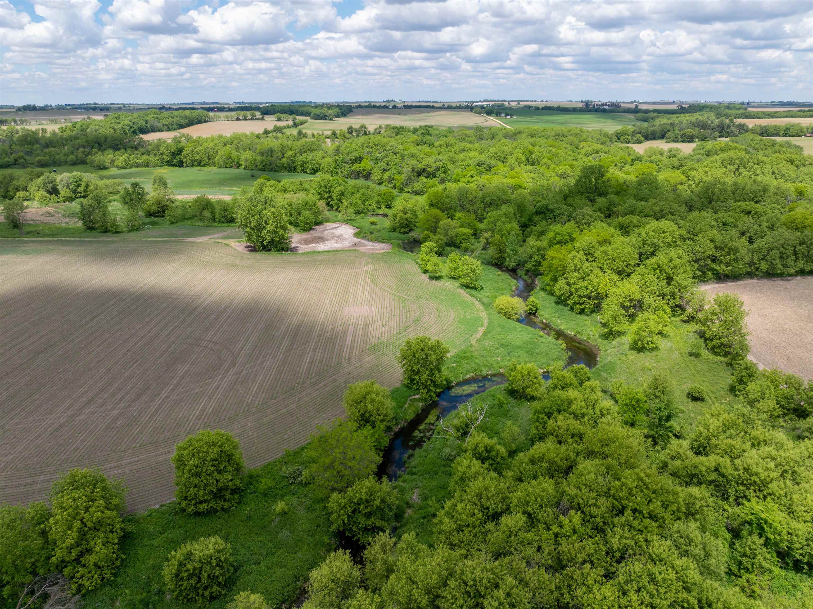 10385 North Rock City Road Leaf River, IL 61047 - Photo 5 of 99