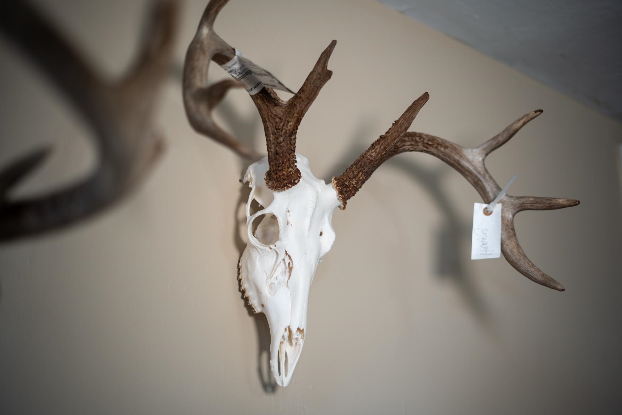 10385 North Rock City Road Leaf River, IL 61047 - Photo 64 of 99