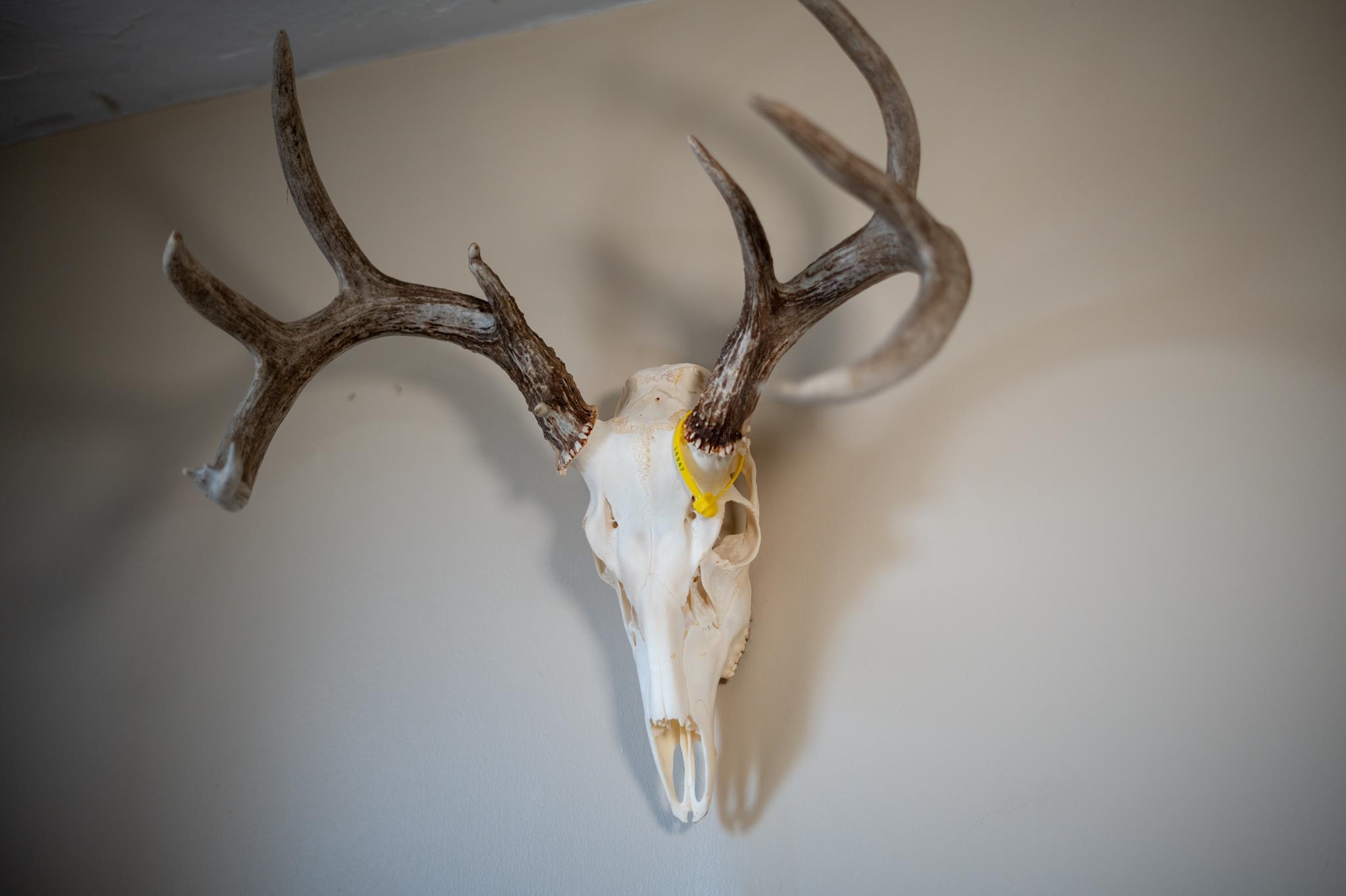 10385 North Rock City Road Leaf River, IL 61047 - Photo 65 of 99