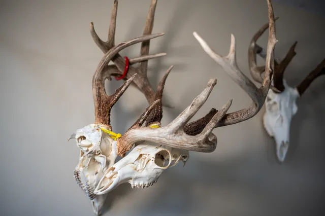 $795,000 | 10385 North Rock City Road, Leaf River, IL 61047