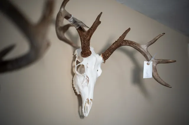 $795,000 | 10385 North Rock City Road, Leaf River, IL 61047