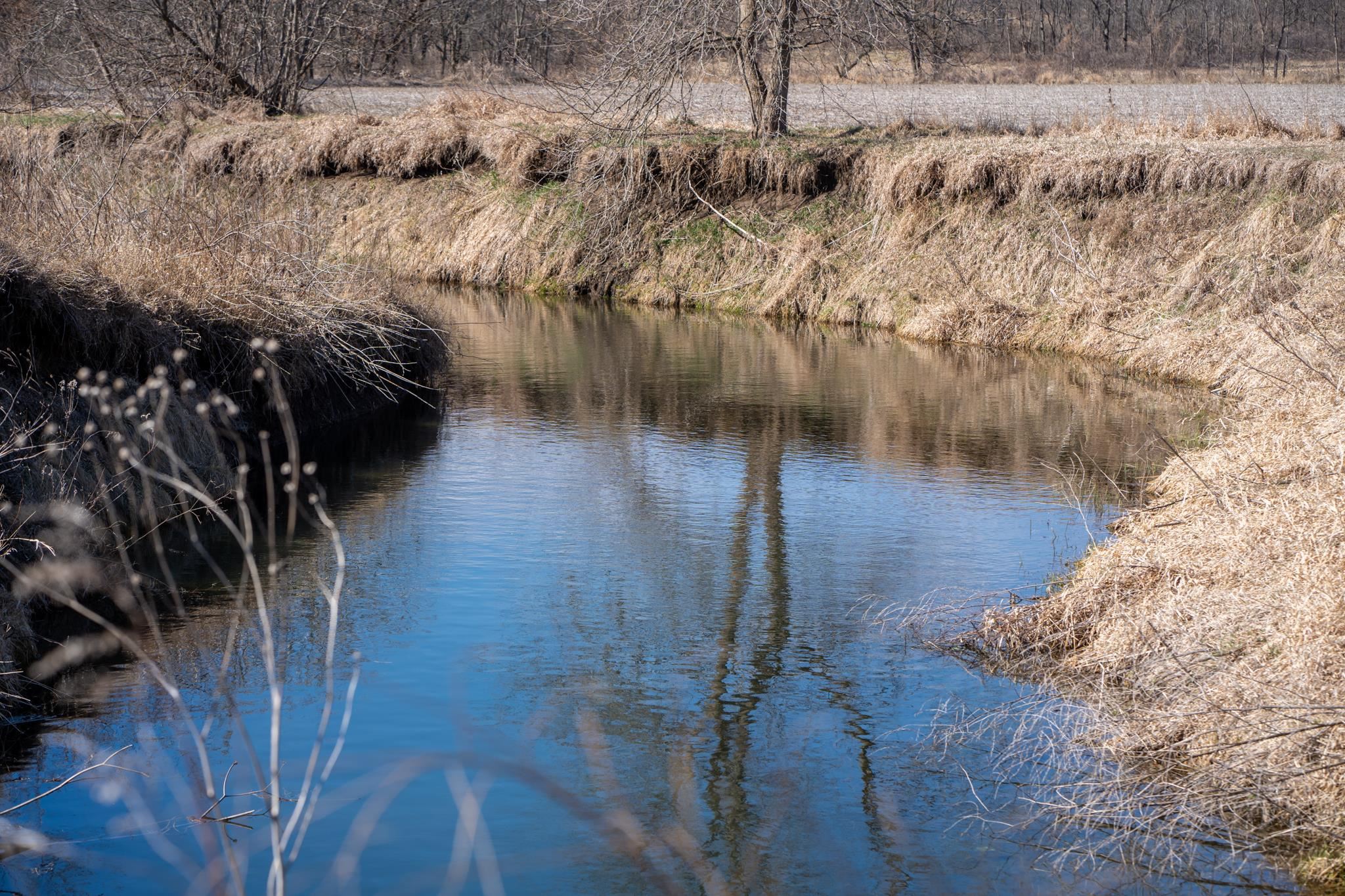 10385 North Rock City Road Leaf River, IL 61047 - Photo 79 of 99