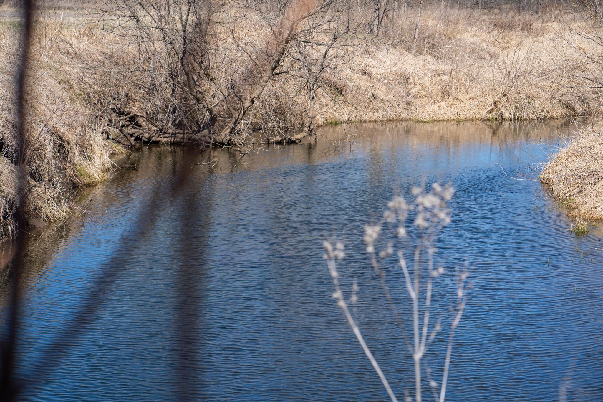 10385 North Rock City Road Leaf River, IL 61047 - Photo 80 of 99