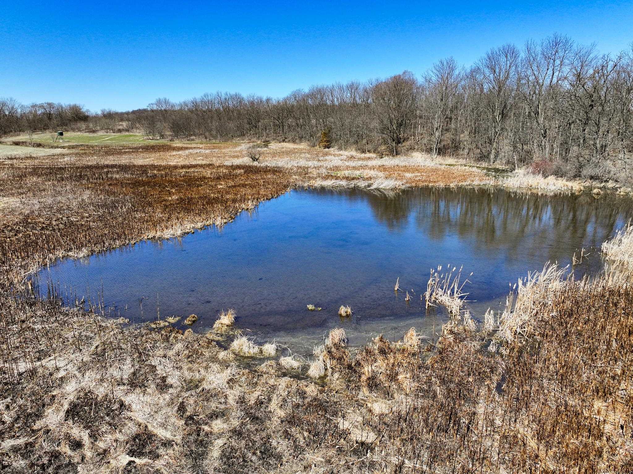 10385 North Rock City Road Leaf River, IL 61047 - Photo 81 of 99
