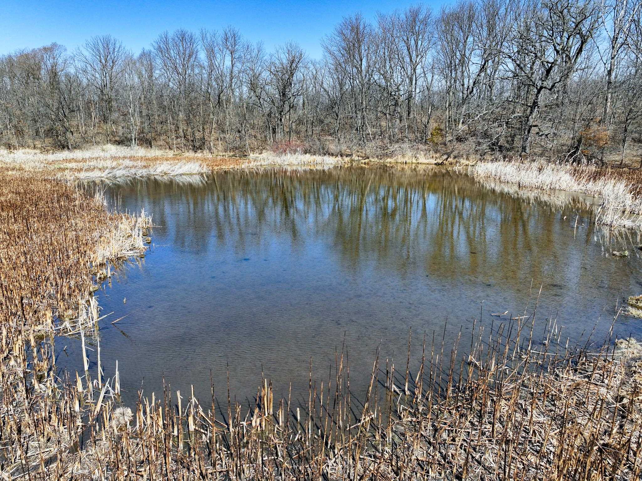 10385 North Rock City Road Leaf River, IL 61047 - Photo 82 of 99