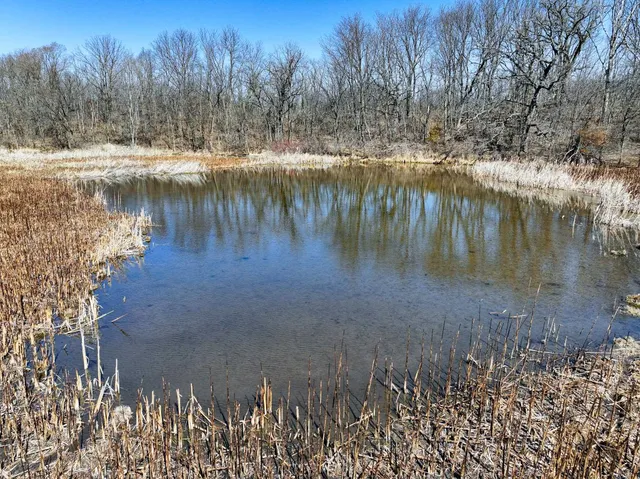 $795,000 | 10385 North Rock City Road, Leaf River, IL 61047