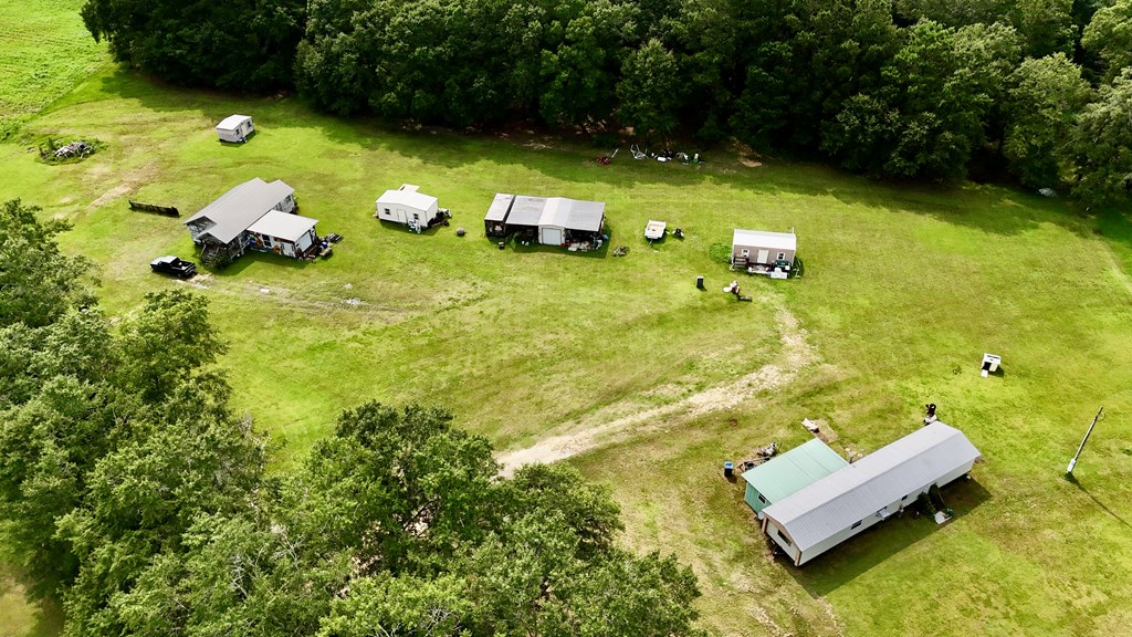 7252 County Road 49 Slocomb, AL 36375 - Photo 81 of 84