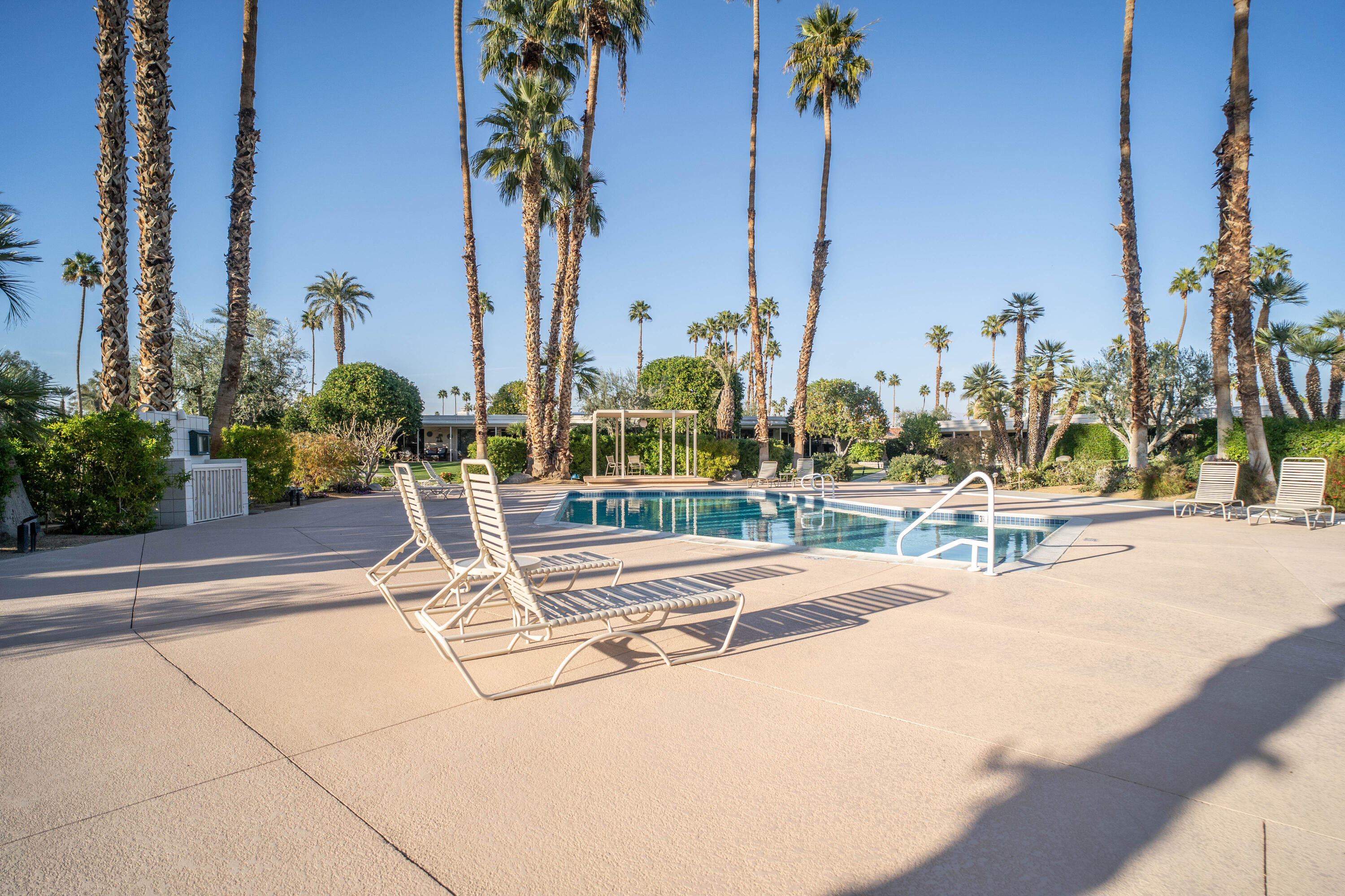 45705 Pawnee Road Indian Wells, CA 92210 - Photo 54 of 59 a view of a swimming pool with a lawn chairs under palm trees