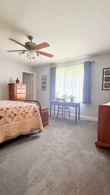 3361 Turner Drive Springfield, OH 45504 - Photo 11 of 18 This spacious bedroom offers comfortable carpeting and a bright window for natural light.