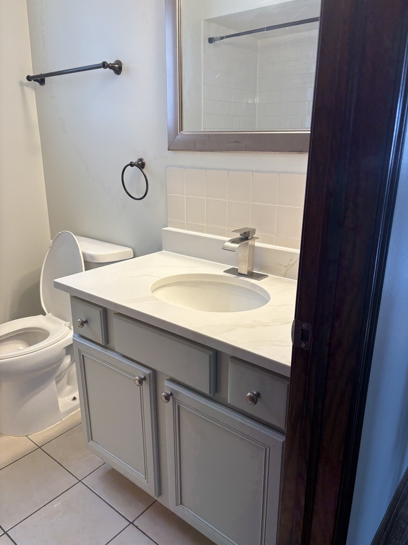 4801 South Kolin Avenue, Unit 2 Chicago, IL 60632 - Photo 13 of 24