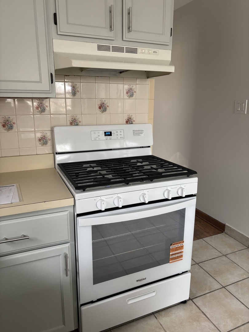 4801 South Kolin Avenue, Unit 2 Chicago, IL 60632 - Photo 19 of 24