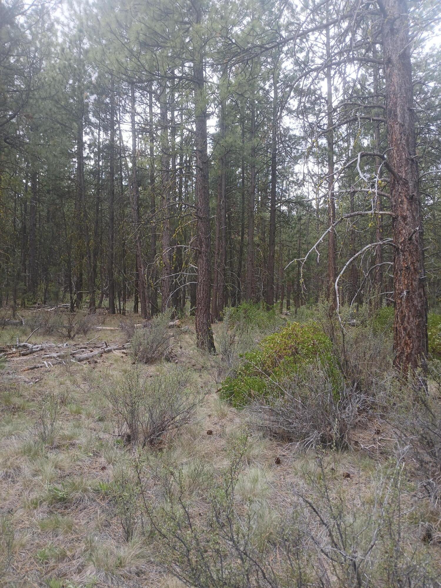 0 Tableland Road Chiloquin, OR 97624 - Photo 2 of 18 20260427_141417