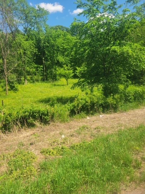 Tbd 230th Street Baldwin, WI 54002 - Photo 21 of 53