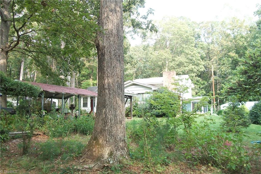 5455 Balsom Road Pfafftown, NC 27040 - Photo 6 of 17 Gallery Image 6