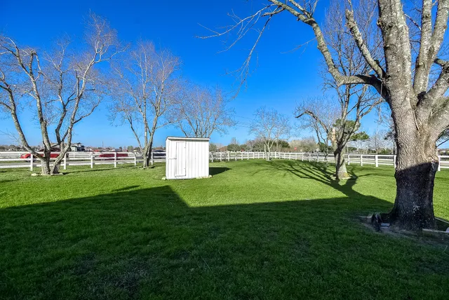 a view of a park with large trees