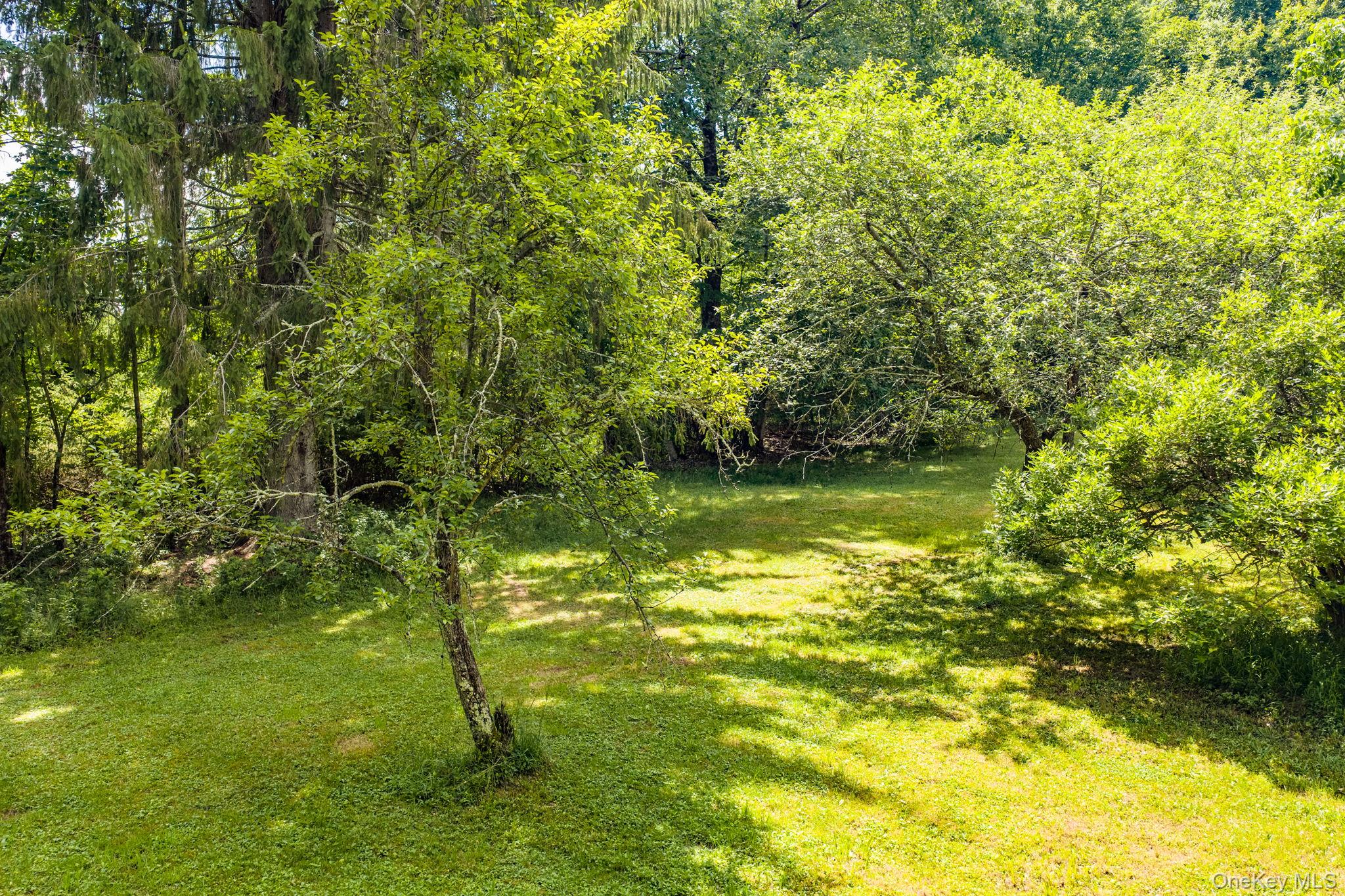 10 Hoffman Road Hankins, NY 12741 - Photo 35 of 46 Fruit trees