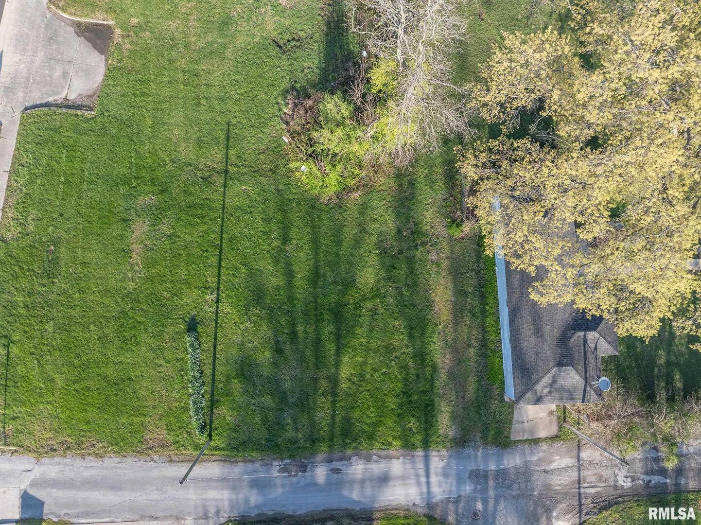 242 Watson Lane Centralia, IL 62801 - Photo 6 of 11 a view of a yard
