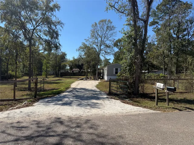 a view of a park with large trees