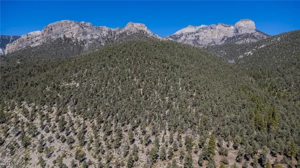 $890,000 | 4063 Zugspitz Way, Mount Charleston, NV 89124