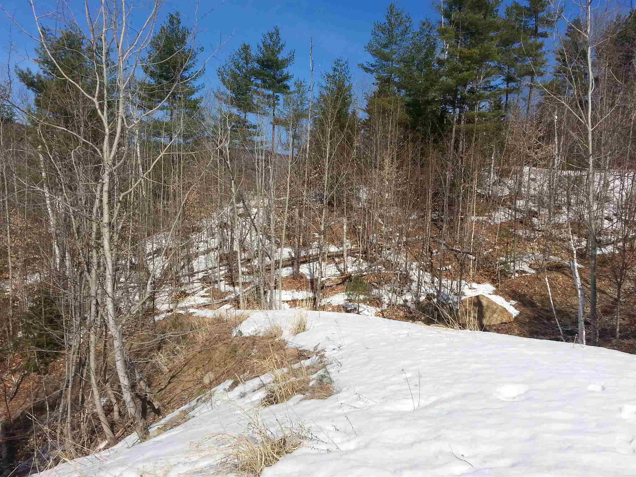 73 Parker Ridge Road Bartlett, NH 03838 - Photo 2 of 3