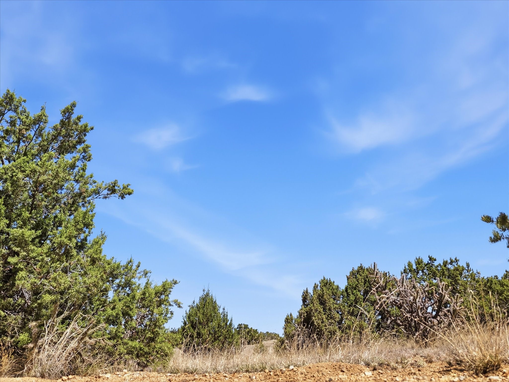 23 Black Canyon Road Santa Fe, NM 87508 - Photo 8 of 15