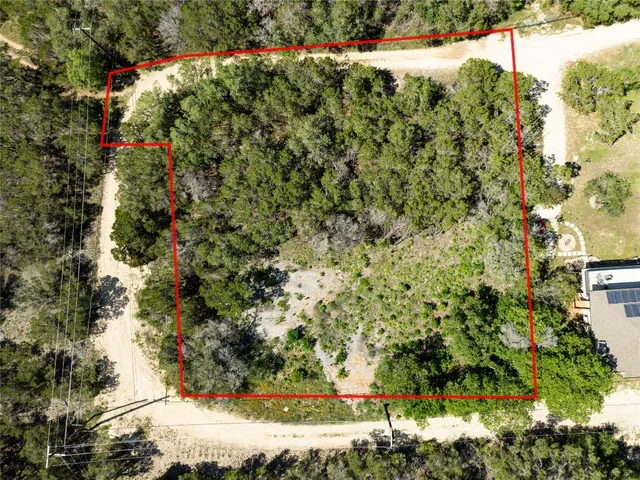 a view of a garden with flowers