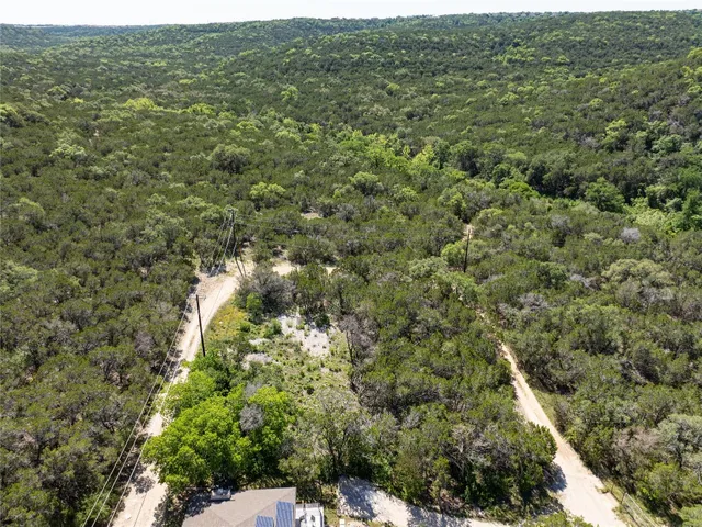 a view of a forest with a street
