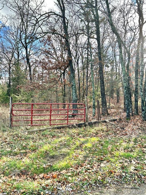 172 Cherryville Road Salem, MO 65560 - Photo 15 of 28