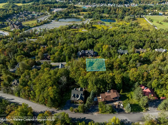 an aerial view of a residential houses with green space
