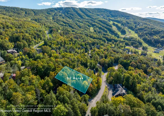 a view of a back yard