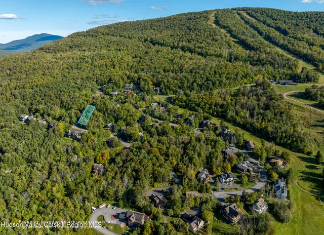 an aerial view of residential house with green space