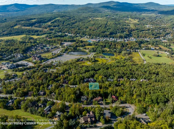 a view of a pathway of a park