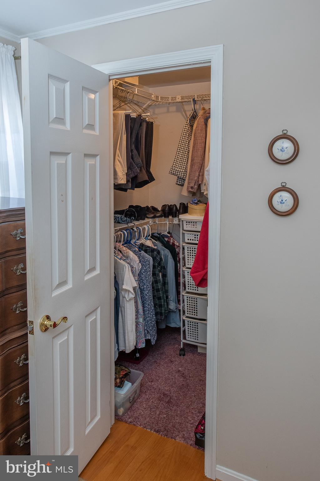 612 Barry Drive Springfield, PA 19064 - Photo 30 of 47 Walk-in closet + a second large closet