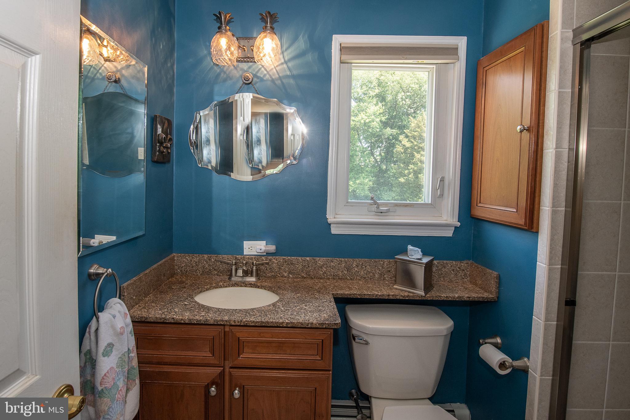 612 Barry Drive Springfield, PA 19064 - Photo 31 of 47 Primary bath with shower stall
