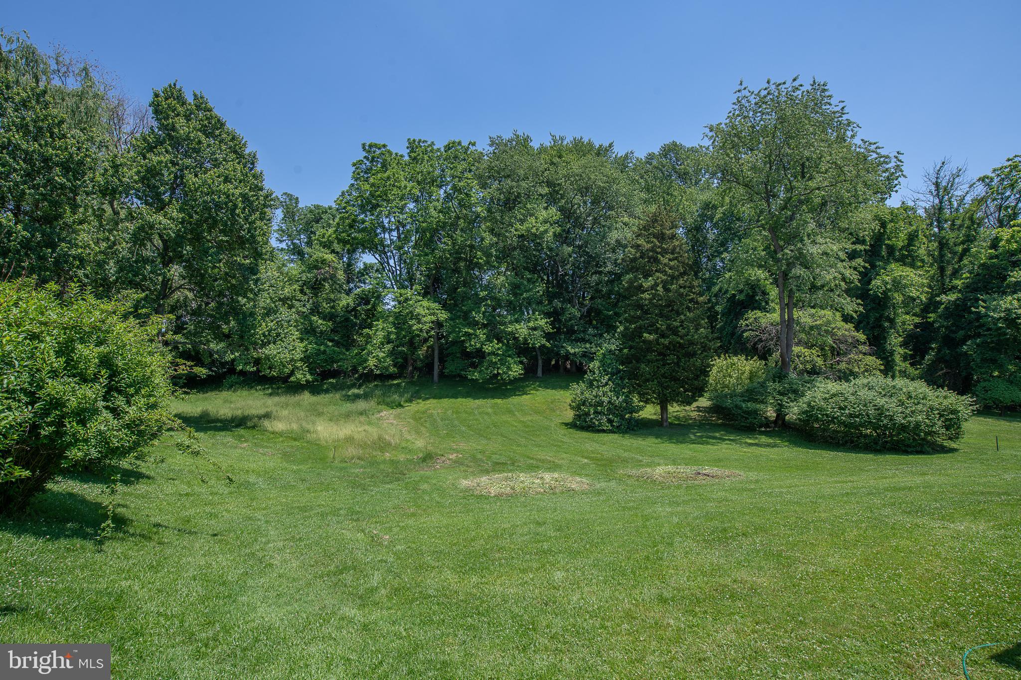 612 Barry Drive Springfield, PA 19064 - Photo 43 of 47 Rear grounds