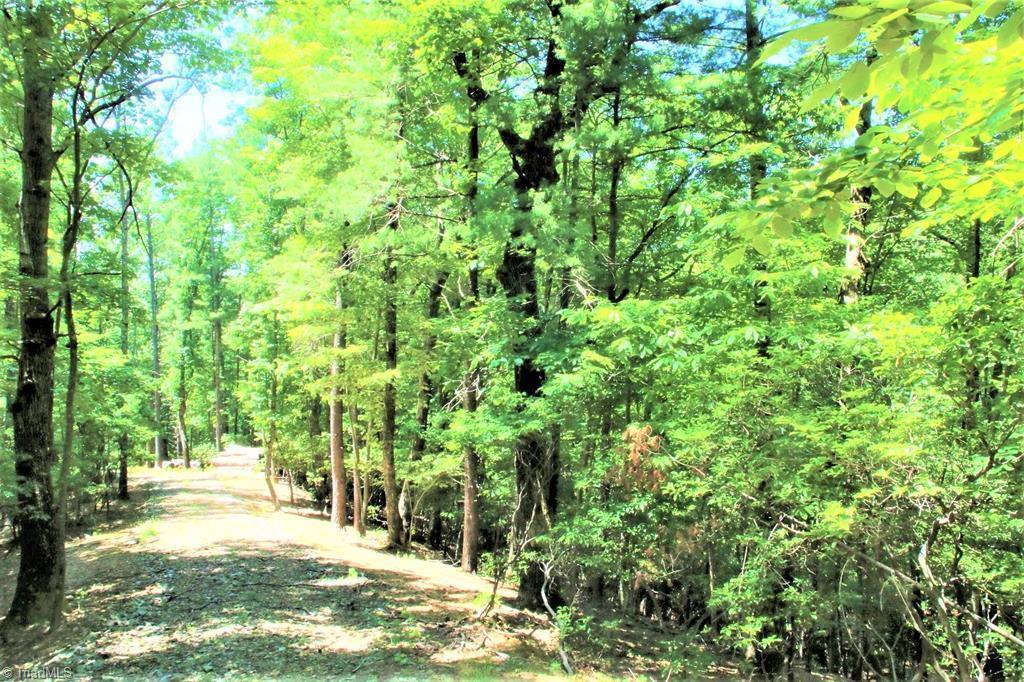 215 Pine Valley Road Ferguson, NC 28624 - Photo 1 of 4 Main View