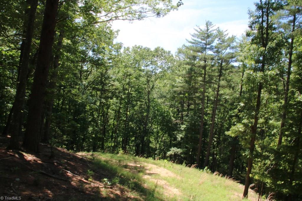 215 Pine Valley Road Ferguson, NC 28624 - Photo 3 of 4 Gallery Image 3