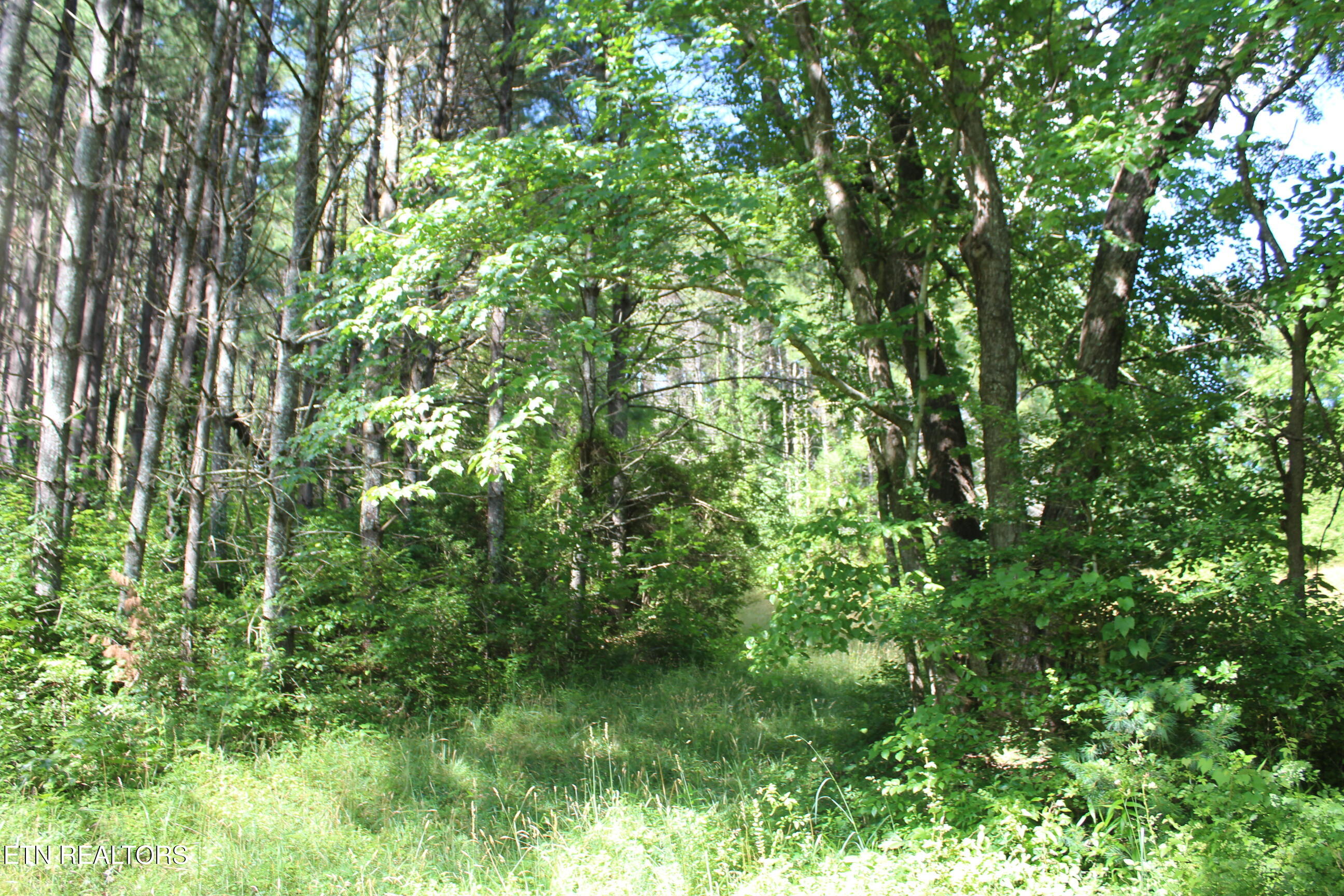 704 Annadel Road Lancing, TN 37770 - Photo 29 of 39 029