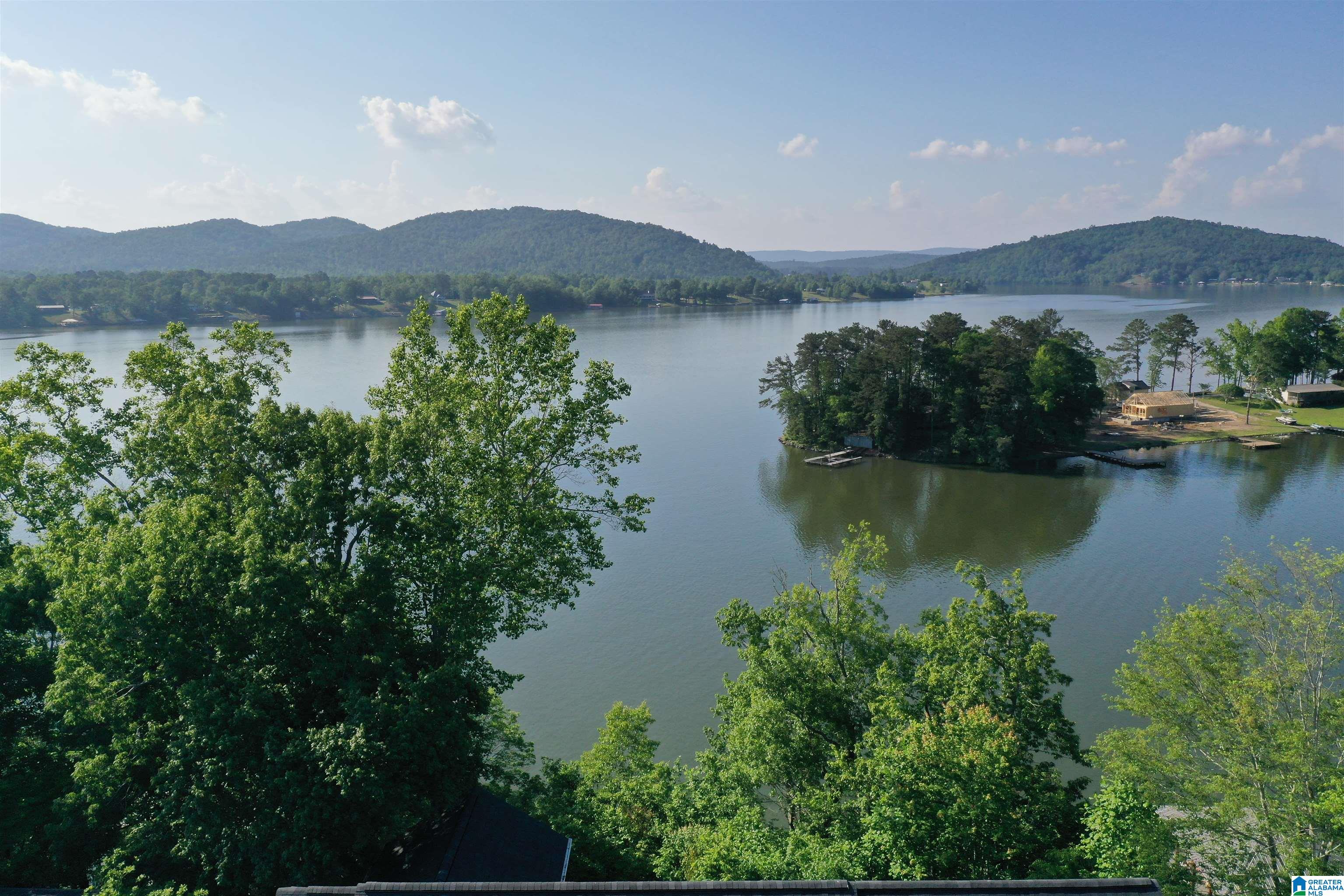 1250 Mohawk Trail Ohatchee, AL 36271 - Photo 2 of 5