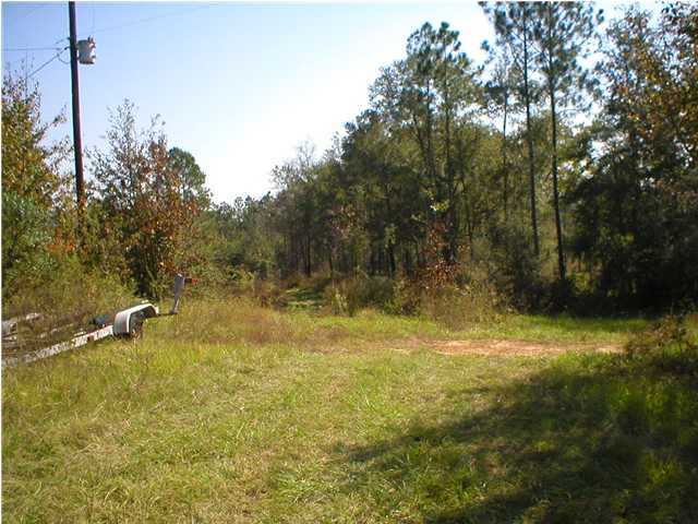 Xxx Tedder Road East DeFuniak Springs, FL 32433 - Photo 3 of 7 a view of a yard with a tree