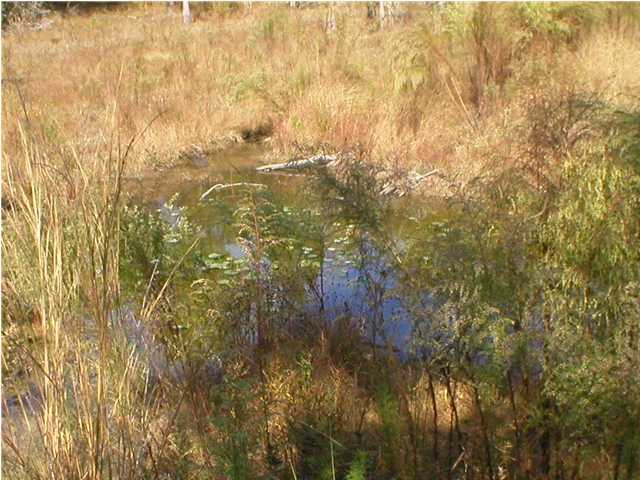 Xxx Tedder Road East DeFuniak Springs, FL 32433 - Photo 4 of 7