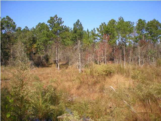 Xxx Tedder Road East DeFuniak Springs, FL 32433 - Photo 5 of 7 a view of outdoor space and covered with trees in the background