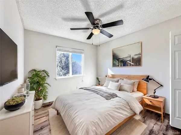 $2,395 | 8240 Lythrum Drive, Colorado Springs, CO 80920